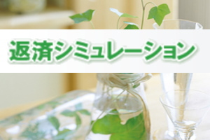 消費者金融・キャッシング3